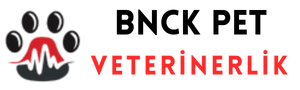 BNCK PET